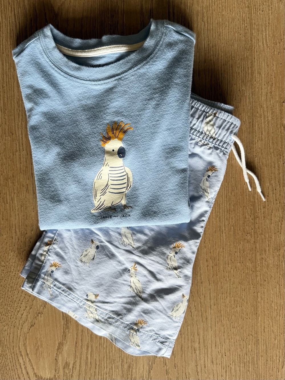 Janie and Jack Boys Sz 6 Light Blue Cockatoo Swim Trunks